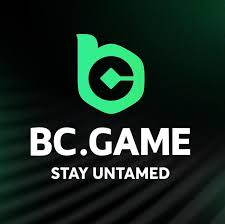 Unlocking Entertainment The BC.Game Mobile App Revolution